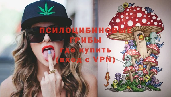 соль ск Алексеевка