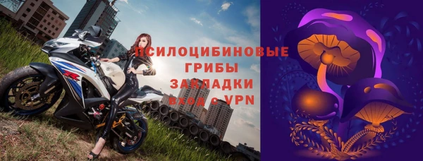 крисы Алзамай