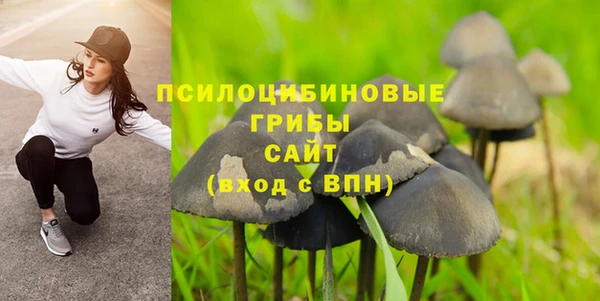 крисы Алзамай