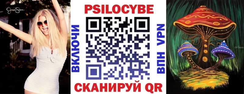 дарнет шоп  Шуя  Псилоцибиновые грибы ЛСД 